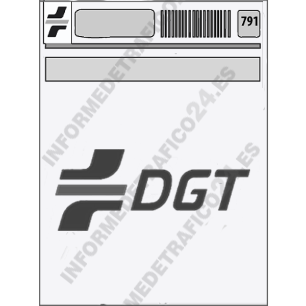 Pago de Tasa DGT (4.1)